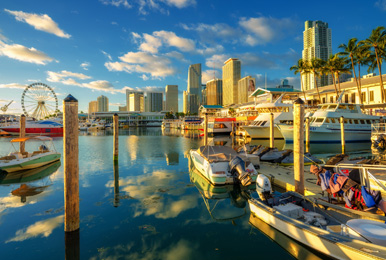 Enjoy Miami’s Skyline
