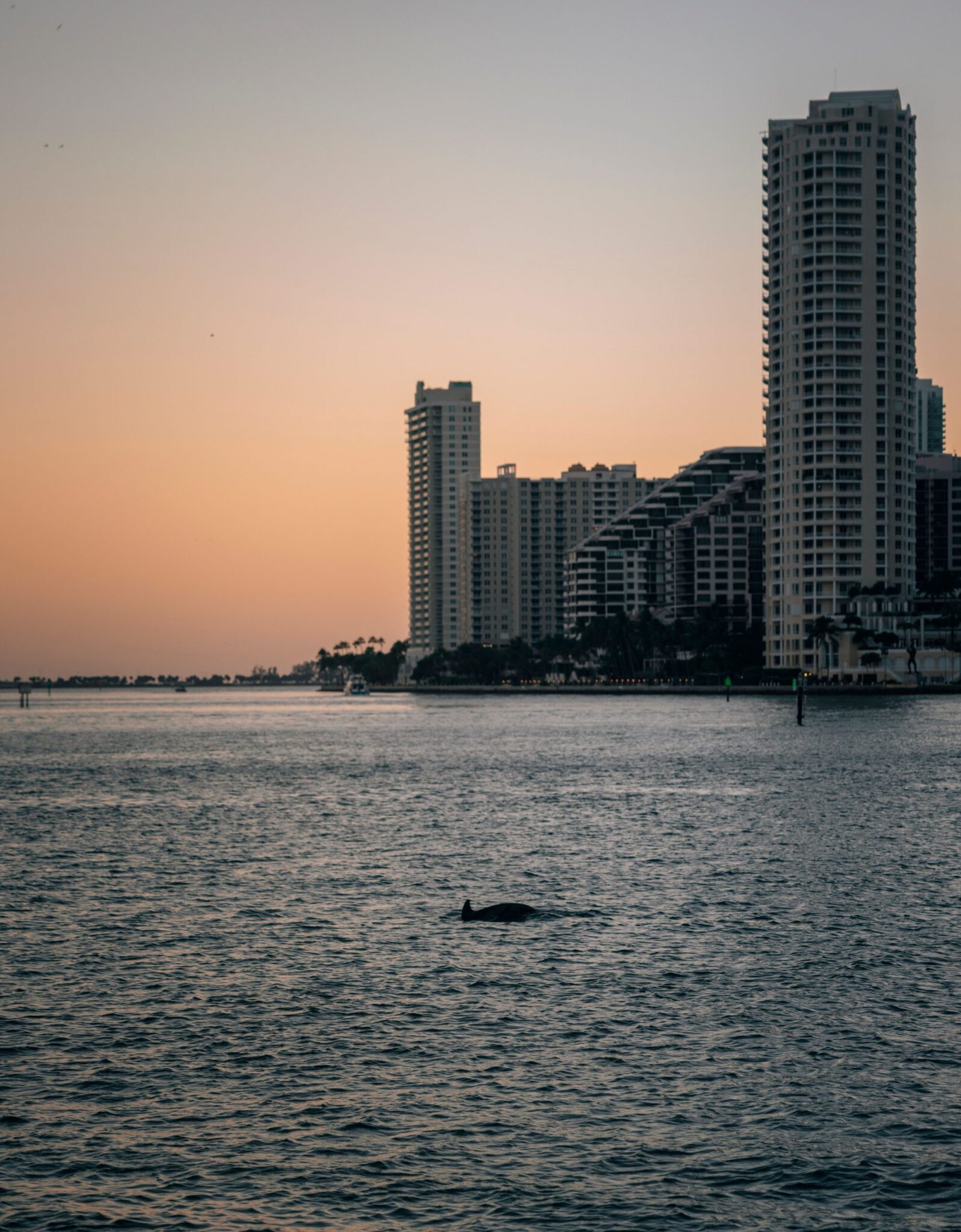 Miami to Bahamas yacht charter — private crewed motor yacht departing Miami Beach Marina to Bimini Bahamas