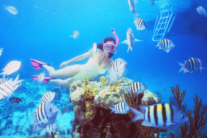 Your Personalized Adventure With Yacht Charter in Nassau Bahamas